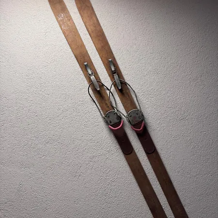Zur Rose In Bij De Piste דירה