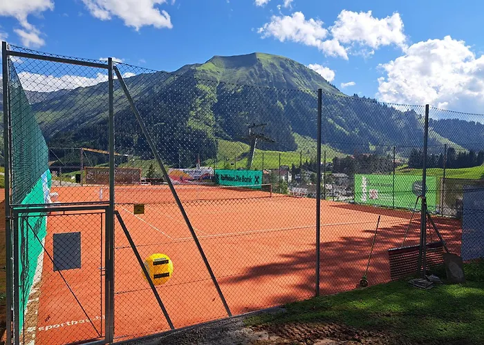 Zur Rose In Bij De Piste Appartamento *