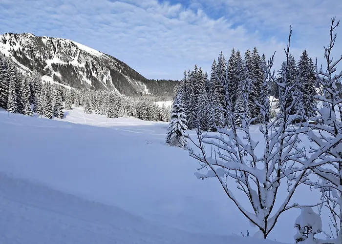 公寓 Zur Rose In Bij De Piste