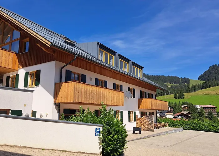 Zur Rose In Bij De Piste 公寓 *