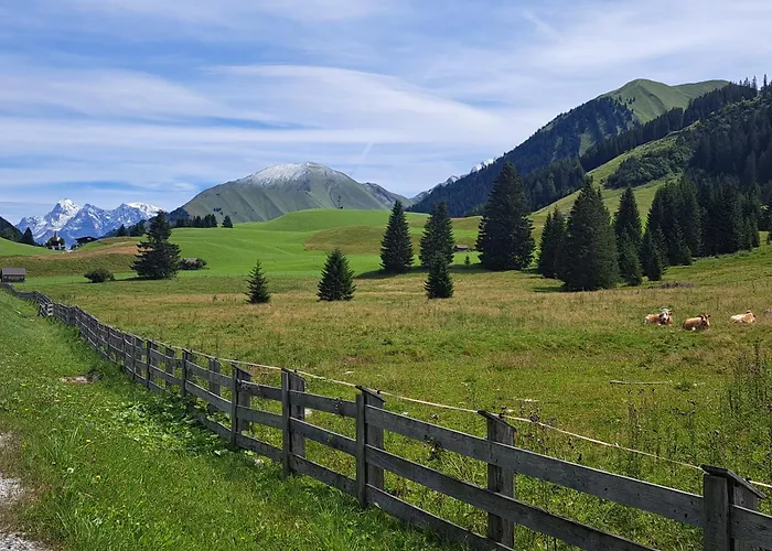 Zur Rose In Bij De Piste 贝旺