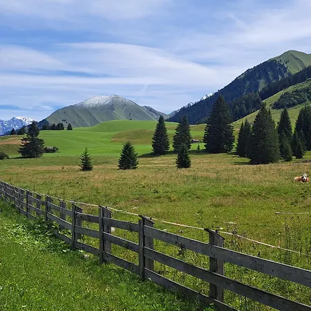 Zur Rose In Bij De Piste Berwang