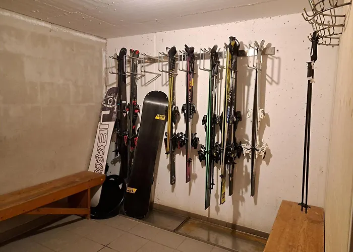 Zur Rose In Bij De Piste *