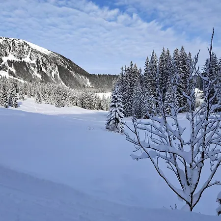 Daire Zur Rose In Bij De Piste